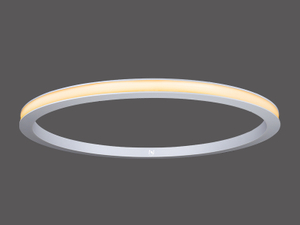 LED Outer Emitting Surface Mounted Ring Light LL0126M