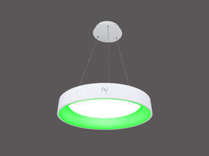Innovative pendant light architectural lighting fixtures LL0201S-15W-PRO